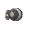 Actuator actionat cu cheie M22, mentinut, 2 pozitii, rama titan - SKU:  216887