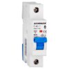 Disjunctor monopolar 40A, curba C, 6kA, Amparo - SKU: AM617140